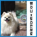 펫수니