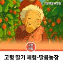 영생 농장 이미지