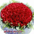 새부산
