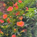 미.서울치과 이미지