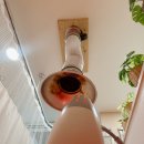 강경하한의원 | [인천/서구] 청라 비염한의원 청라 어린이 한의원 강경하한의원 내돈내산 후기