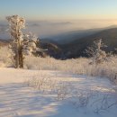 새하얀세상 이미지