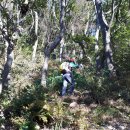 마골산화장실 이미지