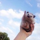 따봉PC방 이미지