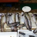 모정식당 이미지