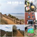 둘레길 | 영종도 예단포 둘레길 후기｜가볍게 걷기 좋은 가을 트레킹 코스 추천