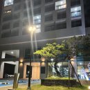블루12양양서프 이미지