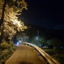 똘똘개횟집