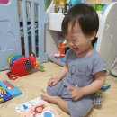 블루래빗 세트 첫토이북 전집 똥이퐁당 치카치카 (ft.<b>Cj오쇼핑</b> 득템)