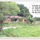 다 차 펜션 이미지