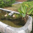 가르멜수도원 이미지