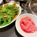 불타는갈매기 이미지