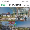 (용인 ) 5월 24일/ 1시 30분 베둘라 cafe .파스타 & 드라이브~ 이미지