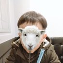 아마스빈 수정역점