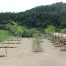 [경기도 양평] 노산팔경 캠핑장 오픈 이벤트 중. 이미지