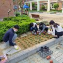 기린초교병설유치원 이미지