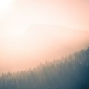 호구포한의원 이미지