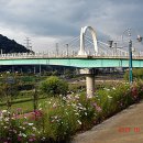 지하철 양산역 Daum카페