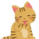 (주)뉴스와 정보