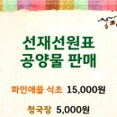 선재식품 이미지