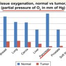 정상 조직과 암 부위의 산소 분압 이미지