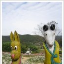 63회 오봉산 옥정호 구절초꽃,코스모스,해바라기 등산안내 이미지