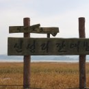 신성리생태공원 이미지