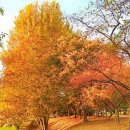 파도농장 이미지