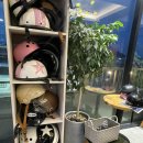 1014 | "제주도 수월봉 전기바이크 지질트레일 후기, 노을해안1014"