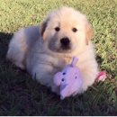 원진주유소 이미지