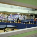 코리아체육관 이미지