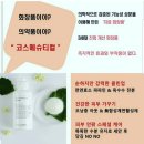 파워인셀덤 - 경주시 | 파워인셀덤