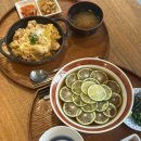 고을면 | 제주도 여행일지( 4,5 일차 )