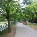 Homestay in Haeundae
