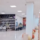 문화디브이디 네이버블로그