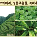 내몸사랑 뷰티샵 이미지