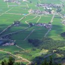 나의살던고향은 이미지