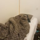 헬로케리 이미지