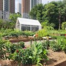 치유하다 이미지