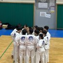 새빛 태권도 이미지