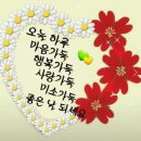 행복한 하루 이미지
