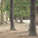 봉산초교 이미지