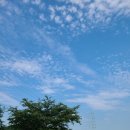 화이트아일랜드 보라카이 이미지