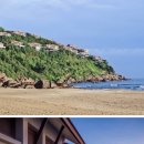 웰빙트리(주) 이미지