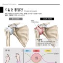 추한의원 네이버블로그