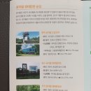 서귀포시청(1청사) | 제주 오름지도 받은 후기