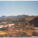 회남초등학교 수몰전(79년) 전경사진 촬영: 학교주변 동산(일명: 설겅주) 이미지