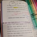 집에 사는 그릇
