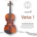 바이올린 이미지