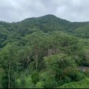 망미이진캐스빌아파트 이미지